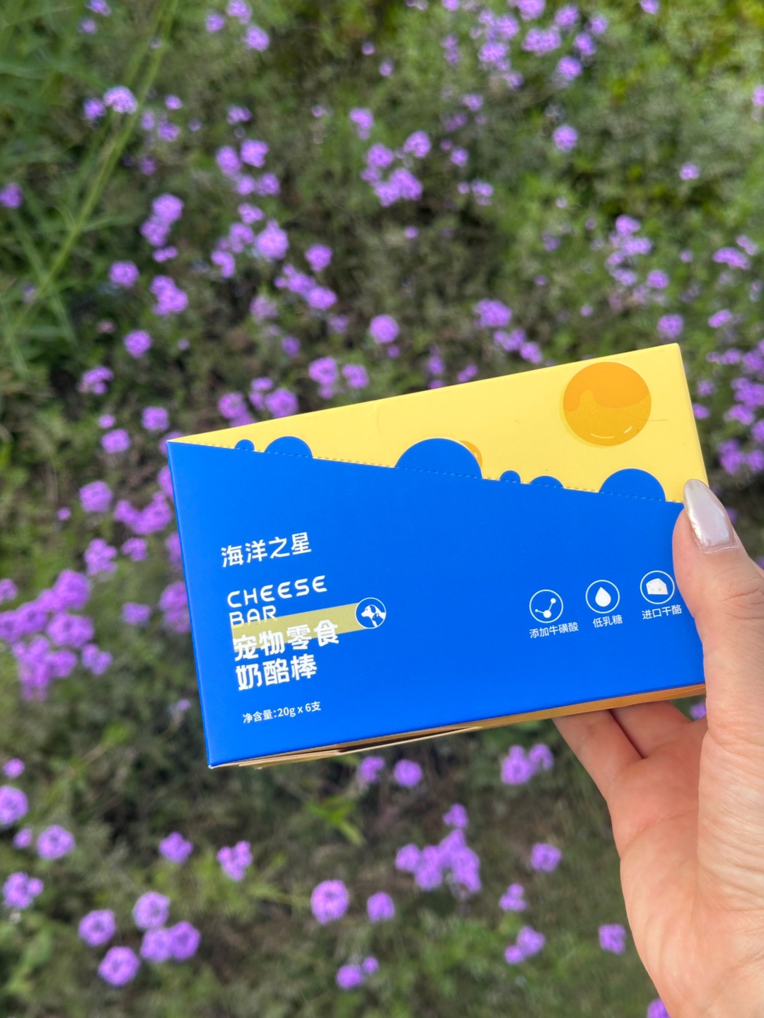西五街