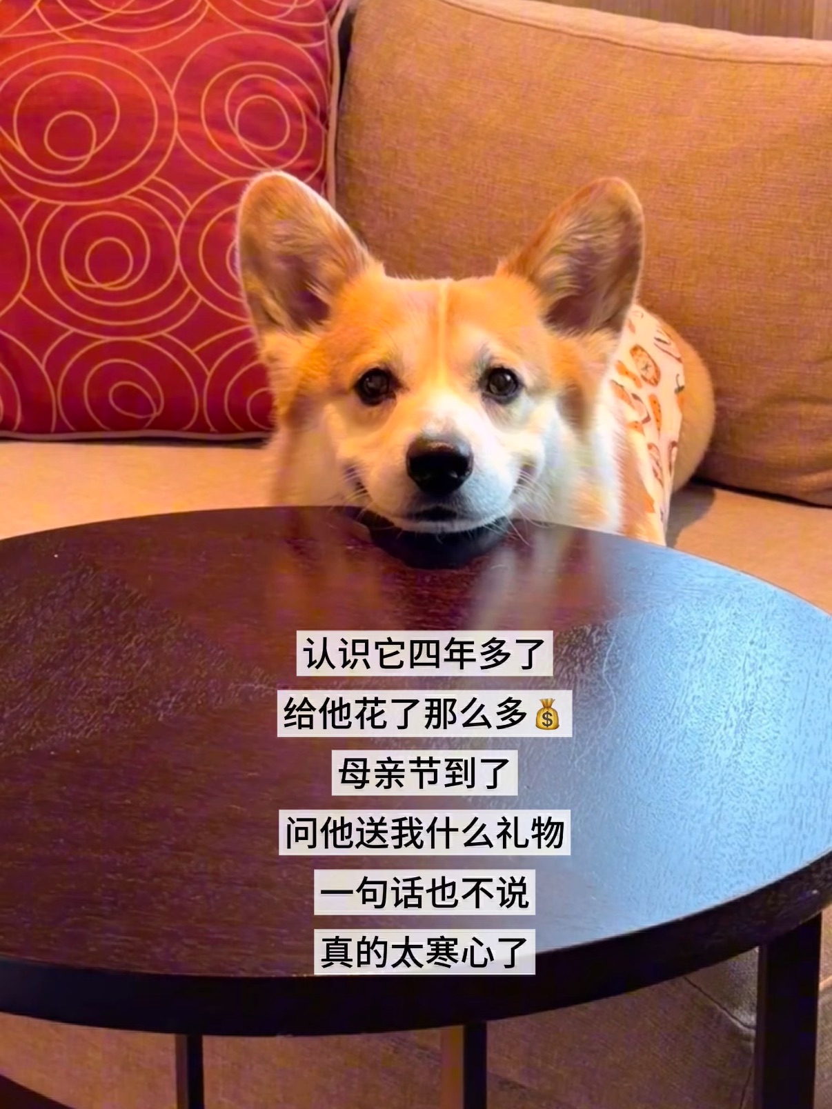 遇到难回答的问题…又不说话了…