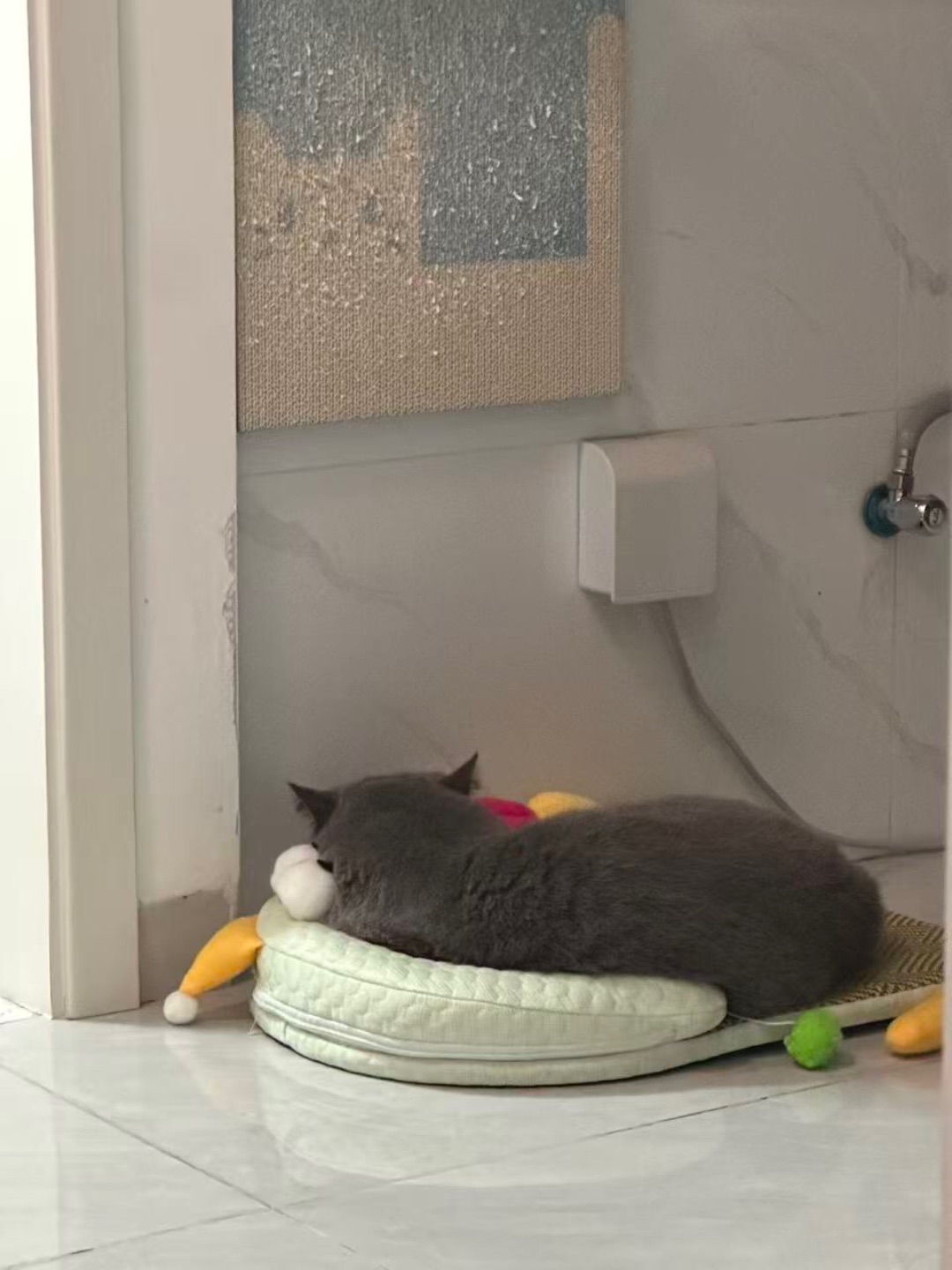 可爱❤️