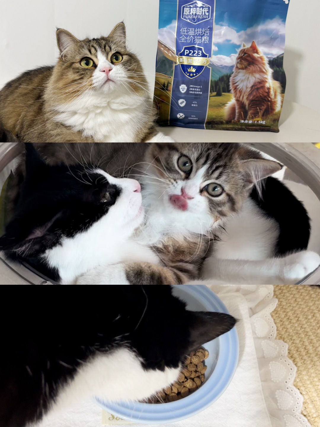 ヽ(^0^)ノ(*´▽｀)ノノ( ´ ▽ ` )ノHi~ o(*￣▽￣*)ブ( ´ ▽ ` )ノ