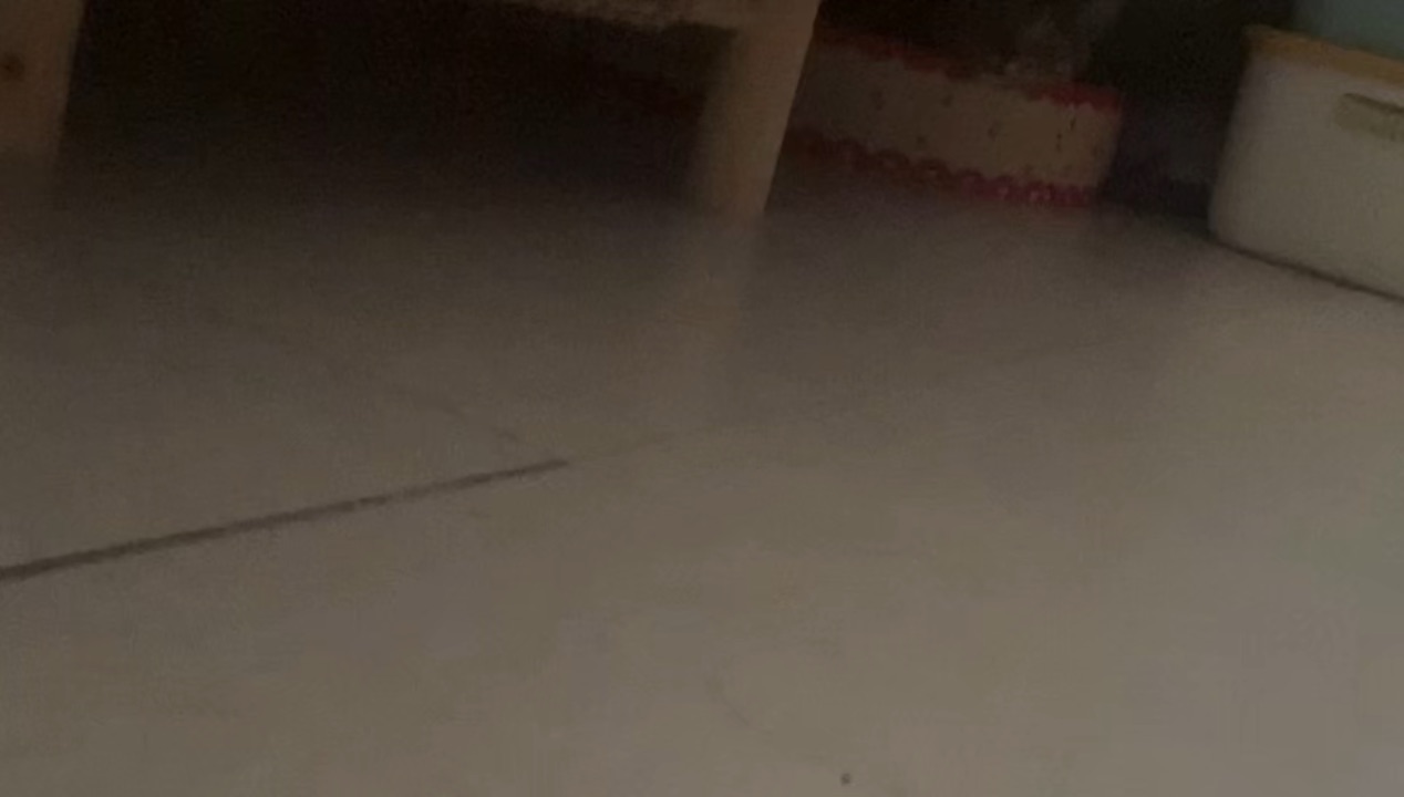 26.5.11 小甜筒在偷看我烫豆