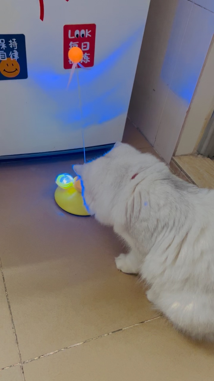 太亮了