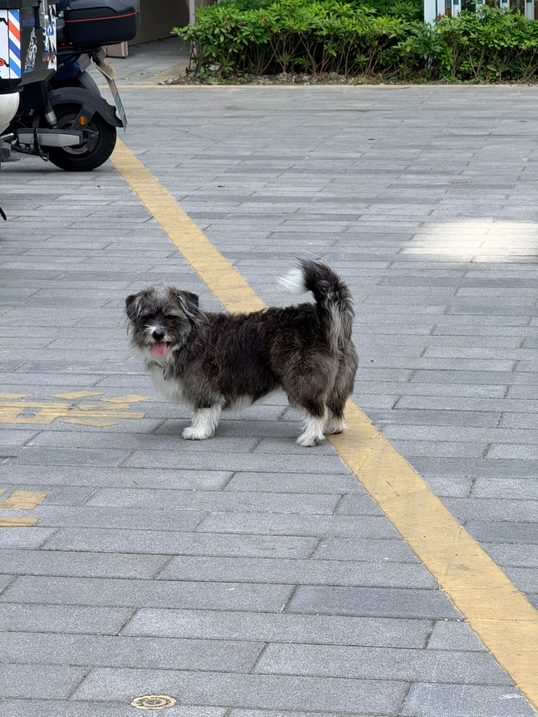 西五街