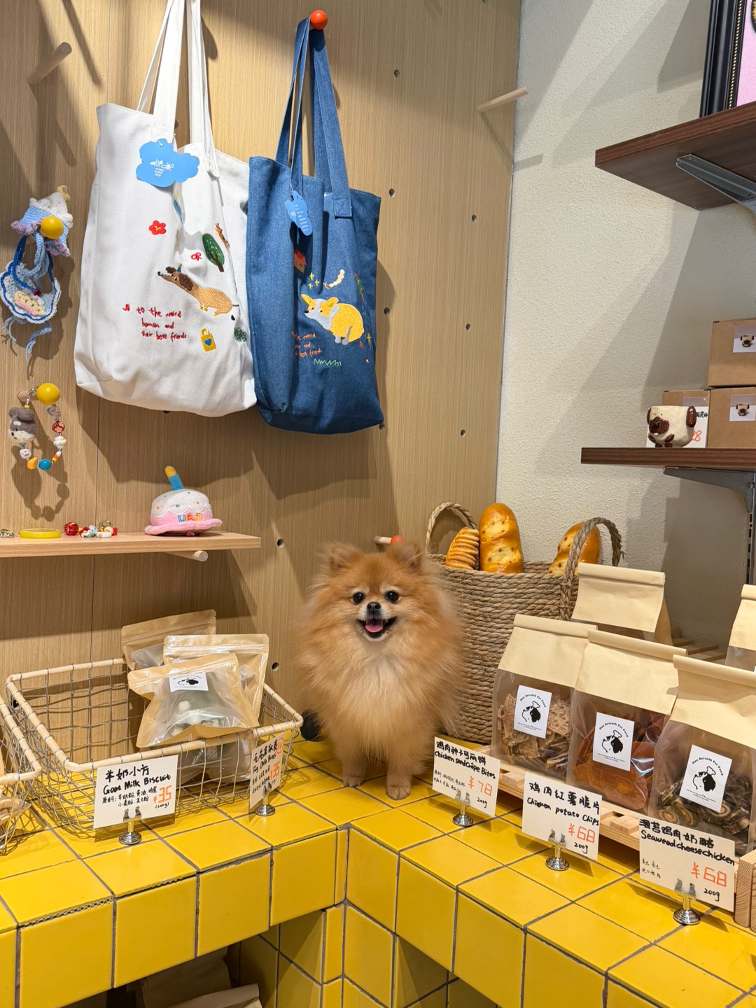 除七月亮湾店开业啦
