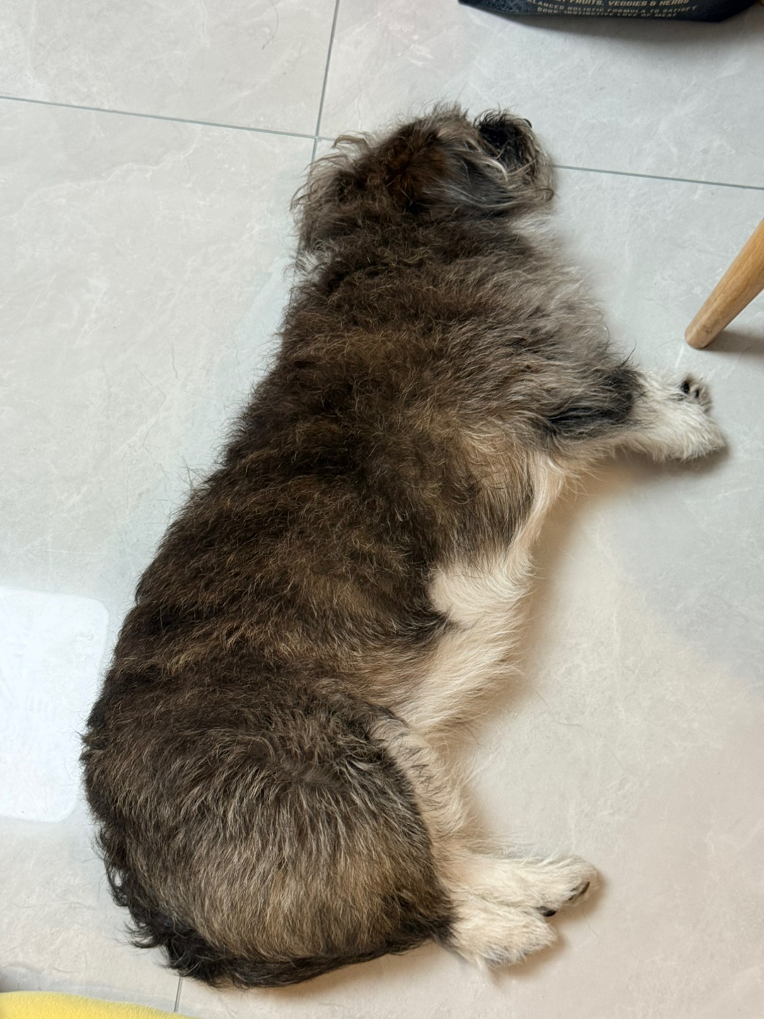 终于回家了