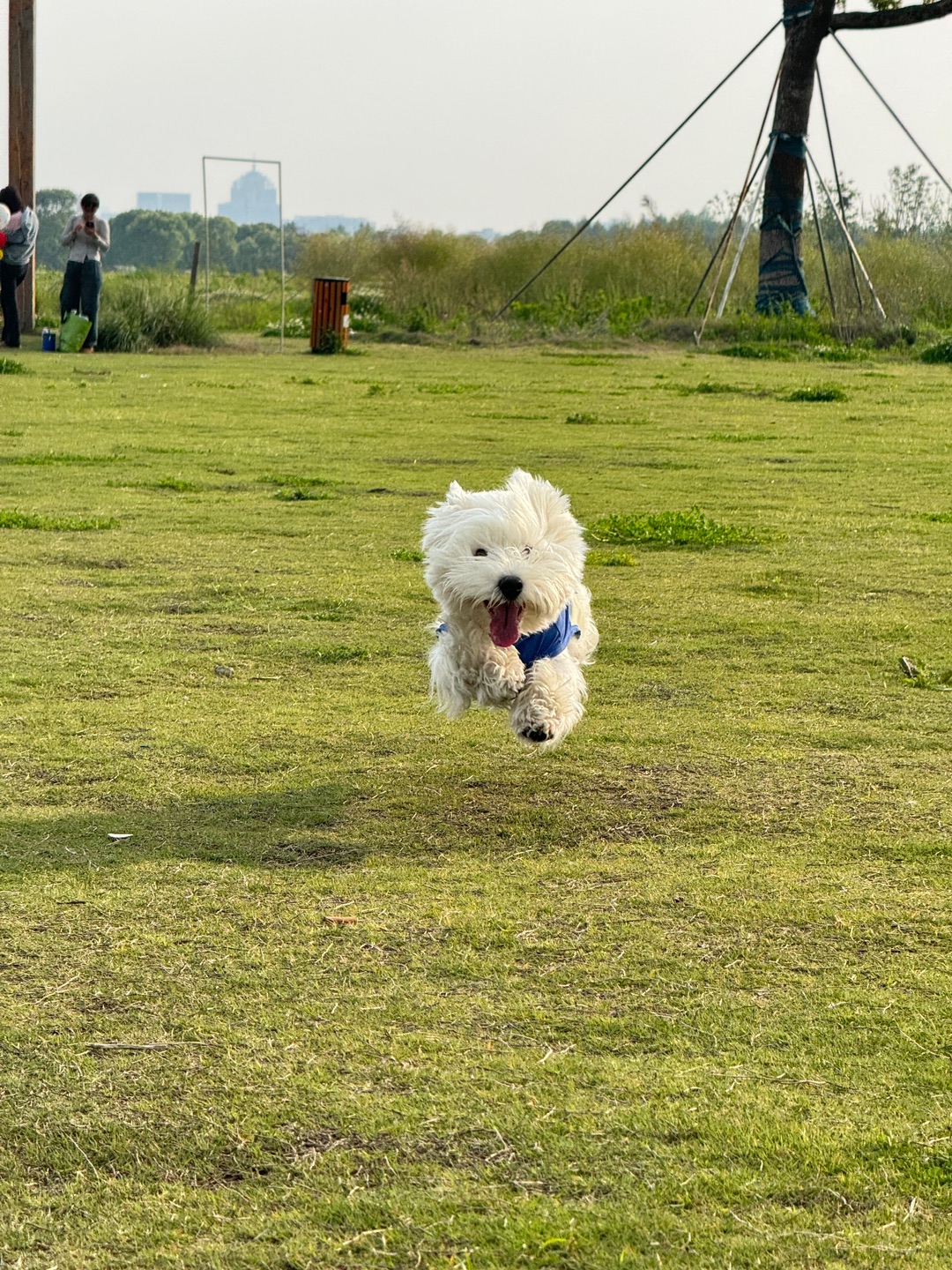 西五街