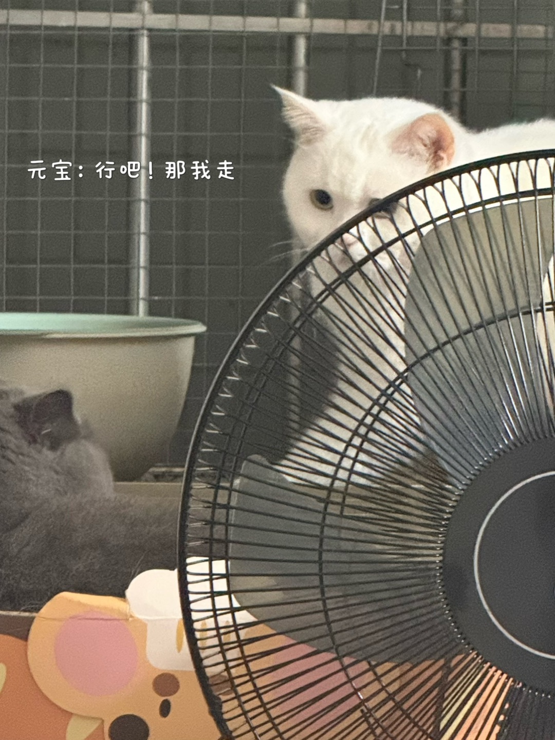 西五街