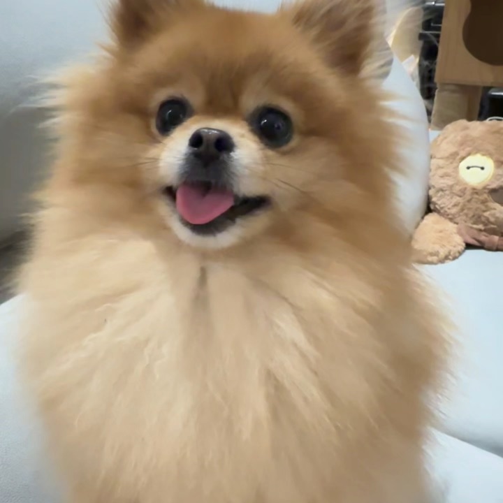 都说我家孩子是路人脸