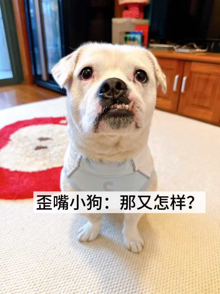Aka·来·那又怎样·福