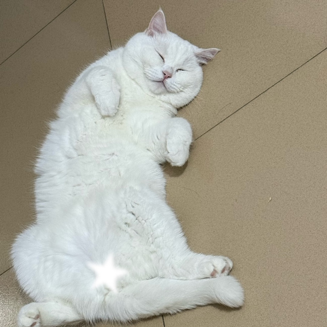 西五街