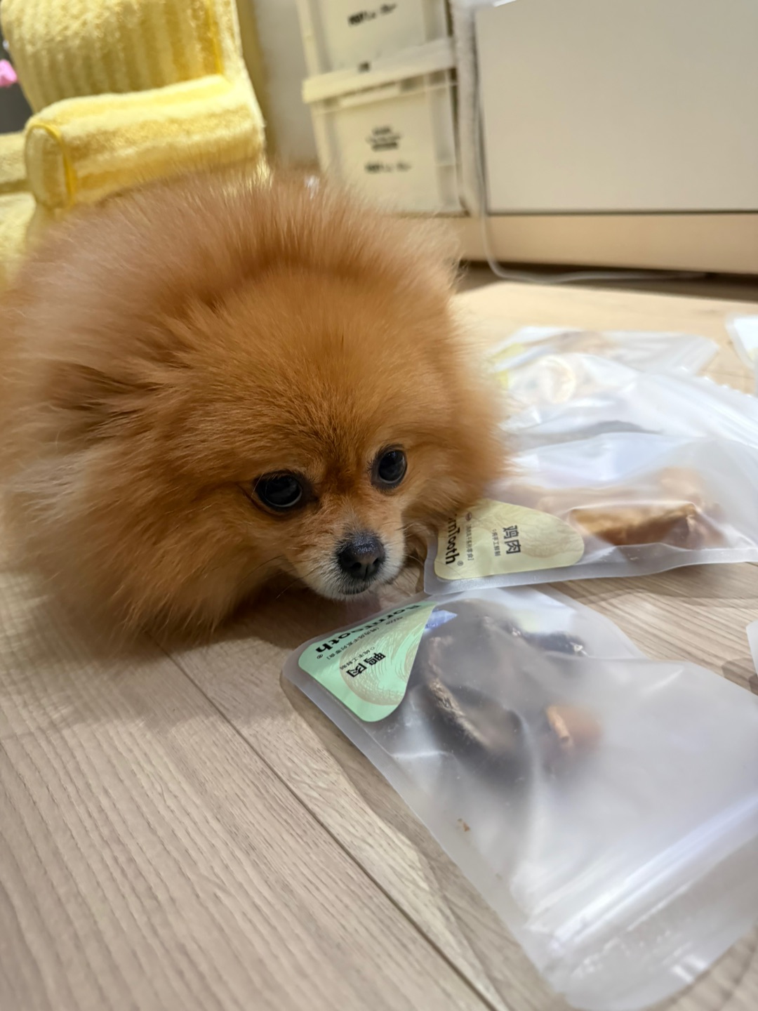 啊这 怎么有小狗这么小气