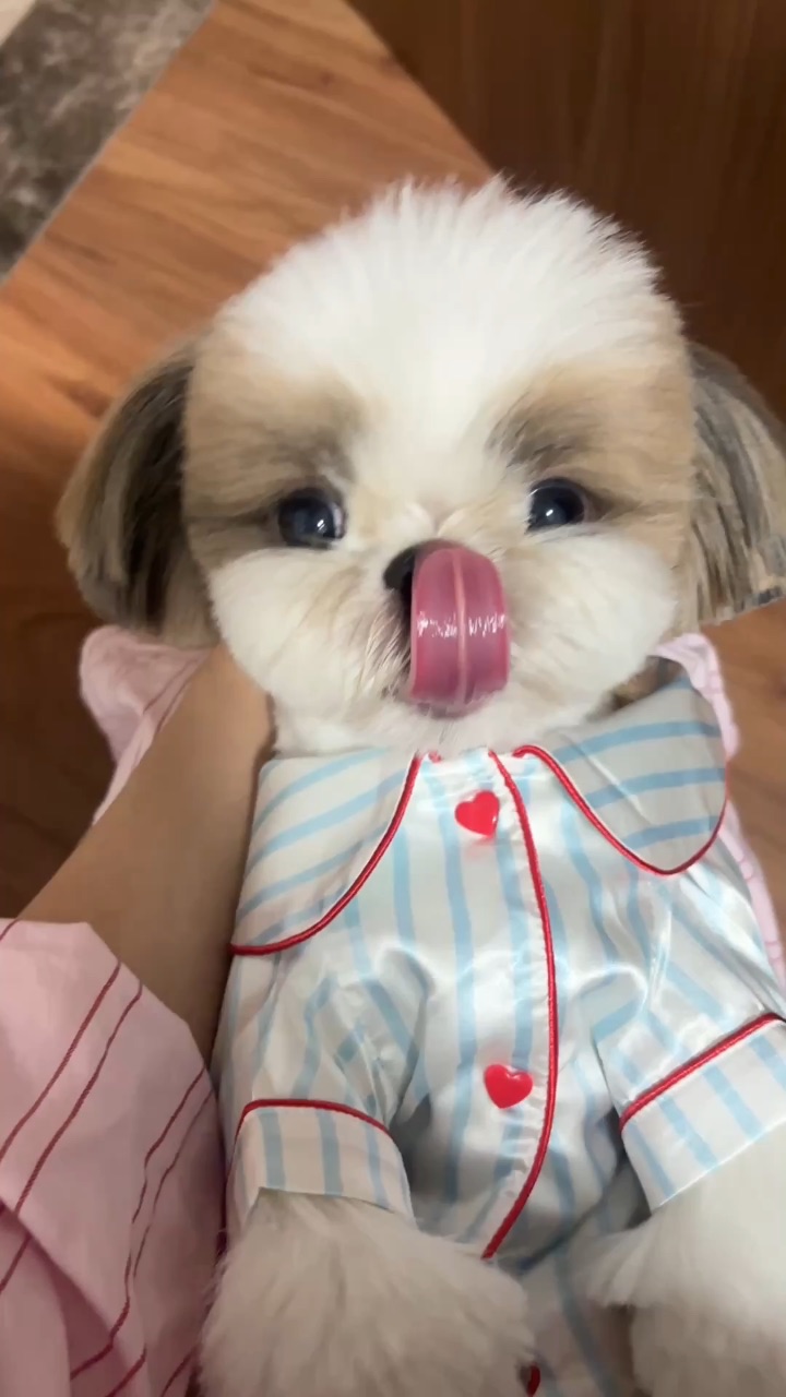 毛绒玩具的睡前自拍