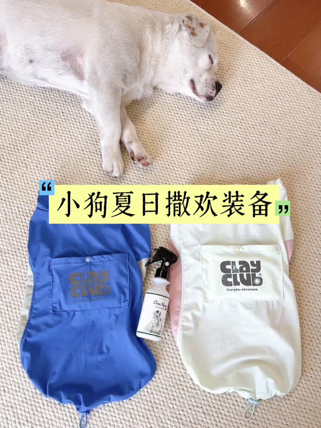 我要去坠坠大的草坪猛猛跑