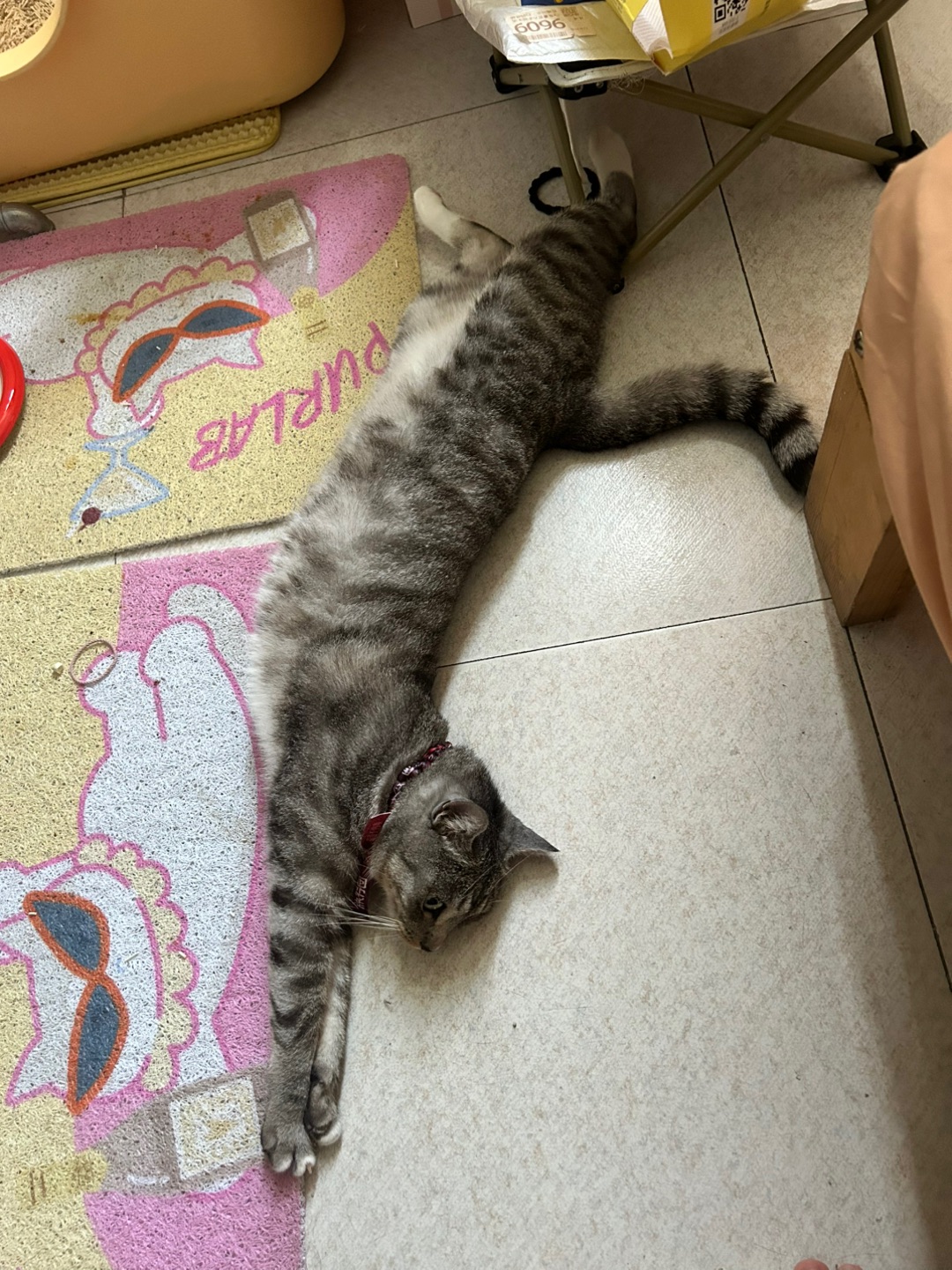 5.20 伸懒腰～