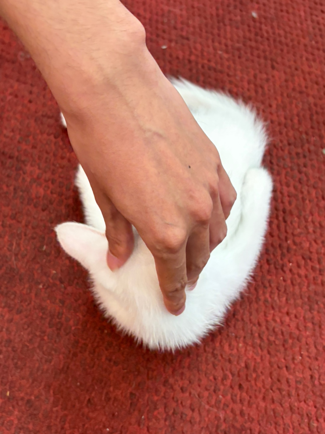 西五街