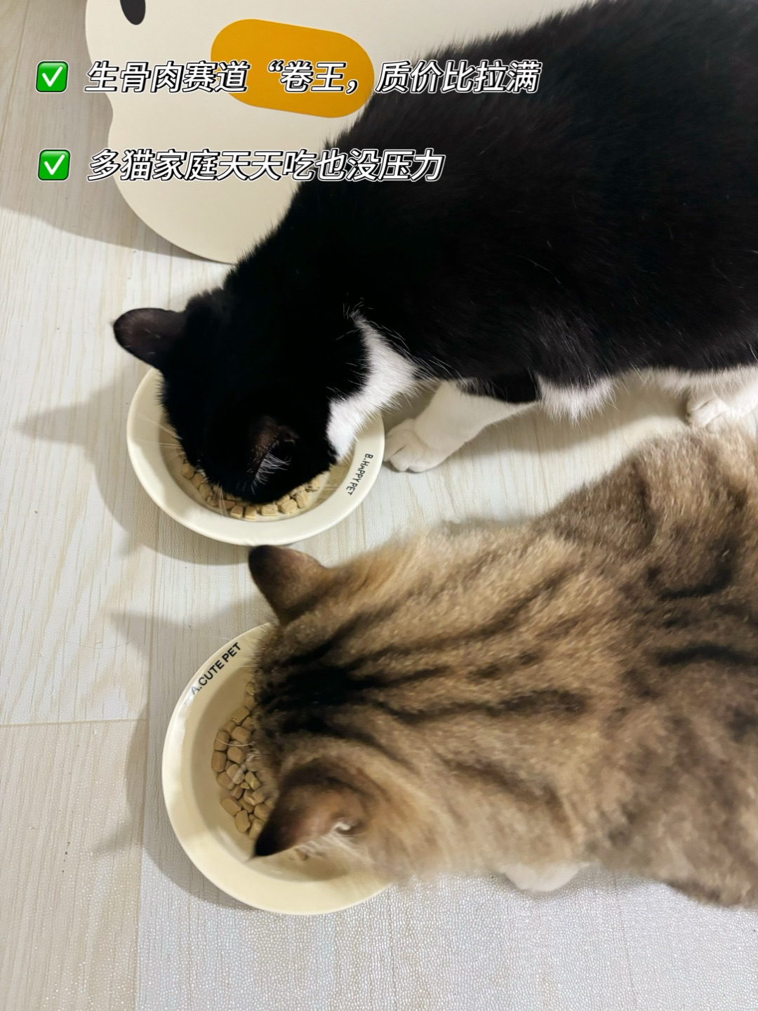 ~(＾◇^)/(*´▽｀)ノノ( ´ ▽ ` )ノ(^o^)／