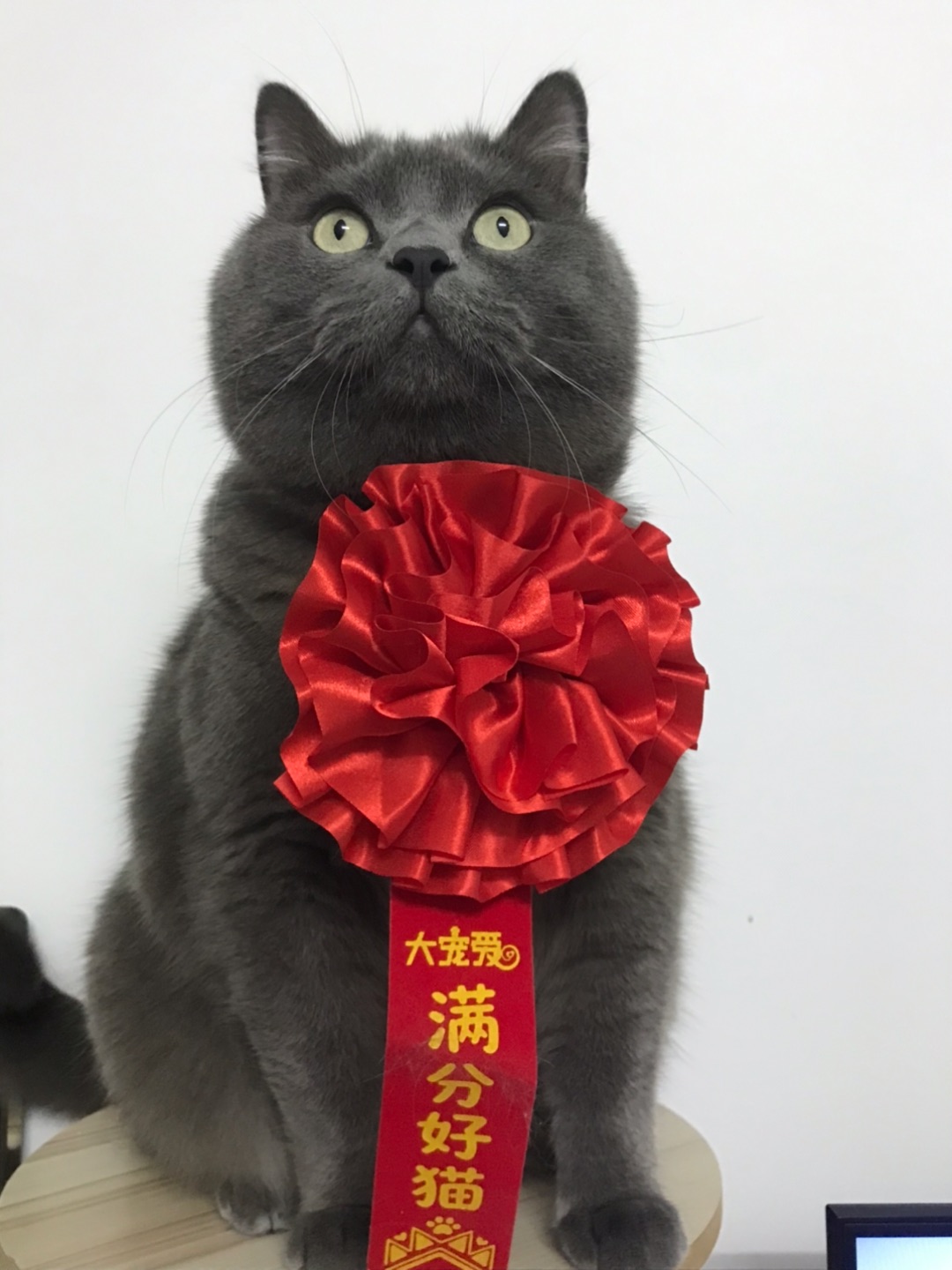 22号补卡2