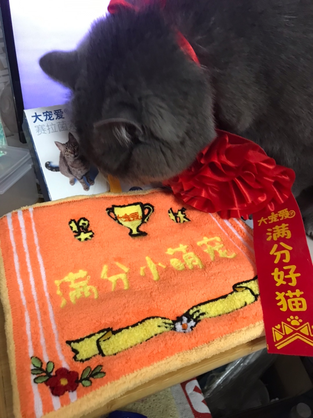 22号补卡1