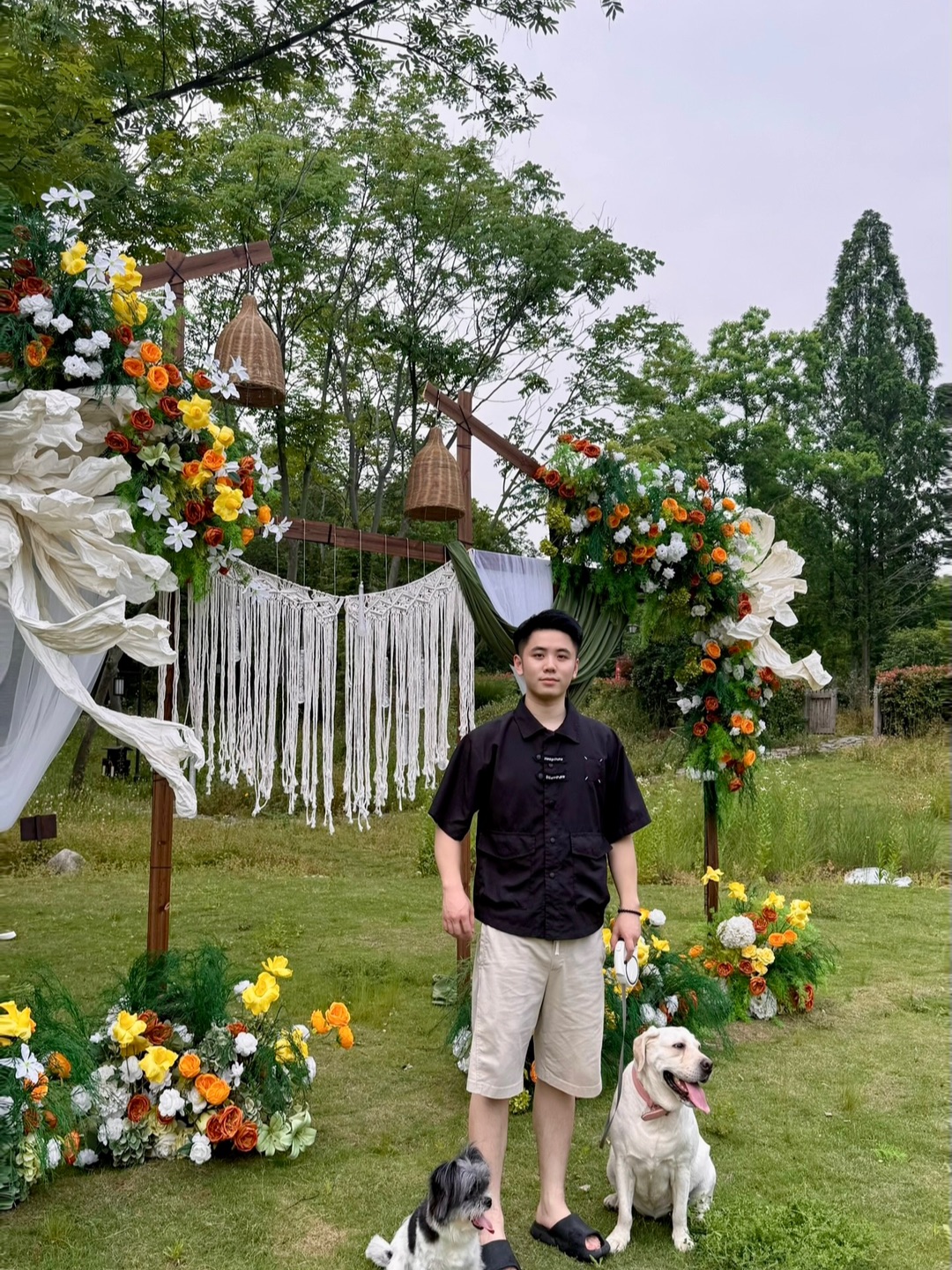 零成本出片模板：假花+草地+潦草小狗🏖️🐶