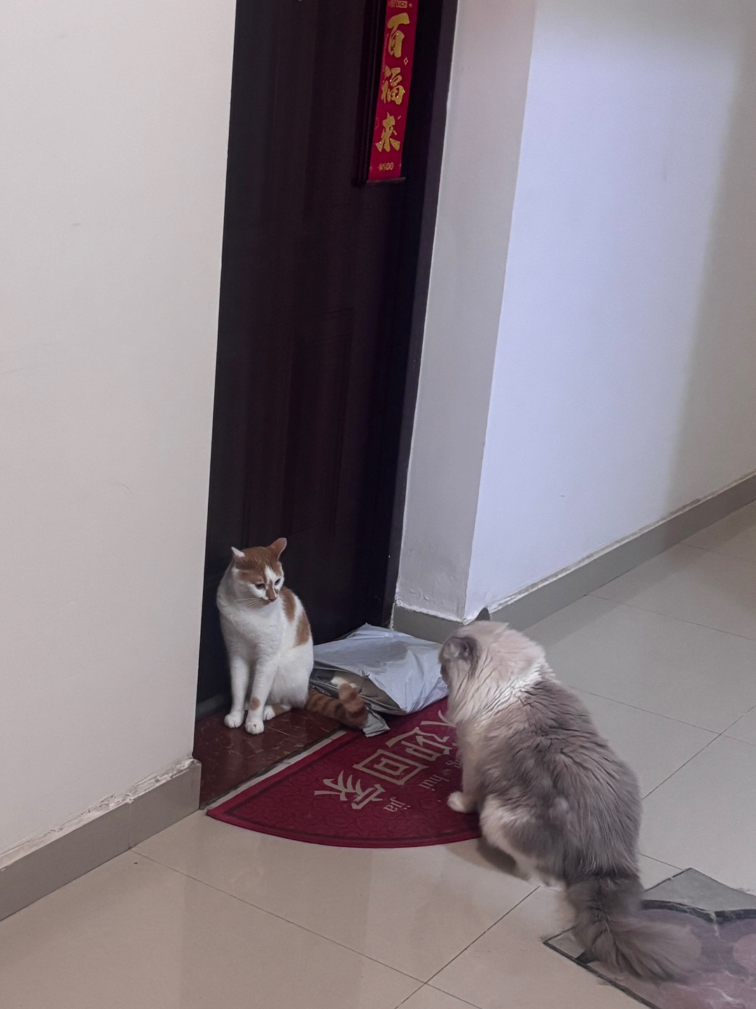 压迫感24