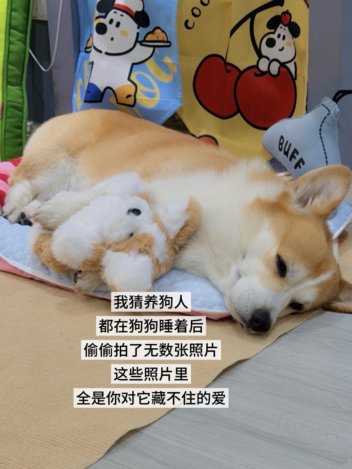 我猜养狗人都这样…