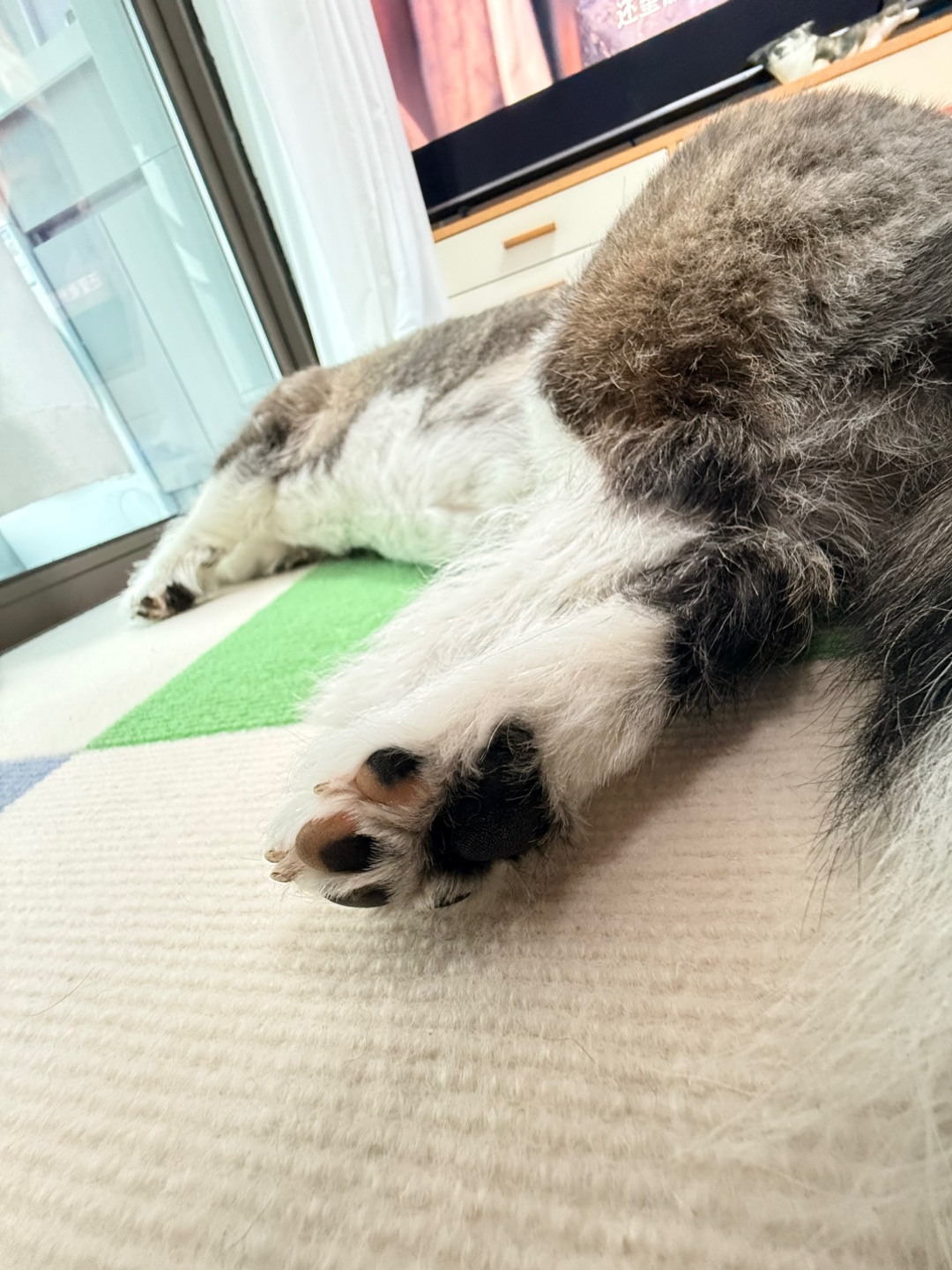 今日要闻