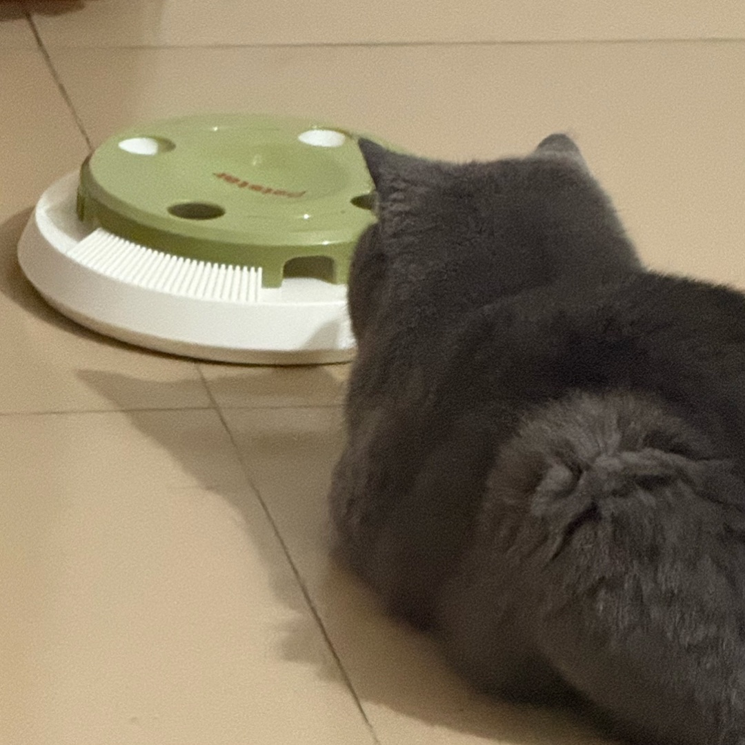 玩玩具