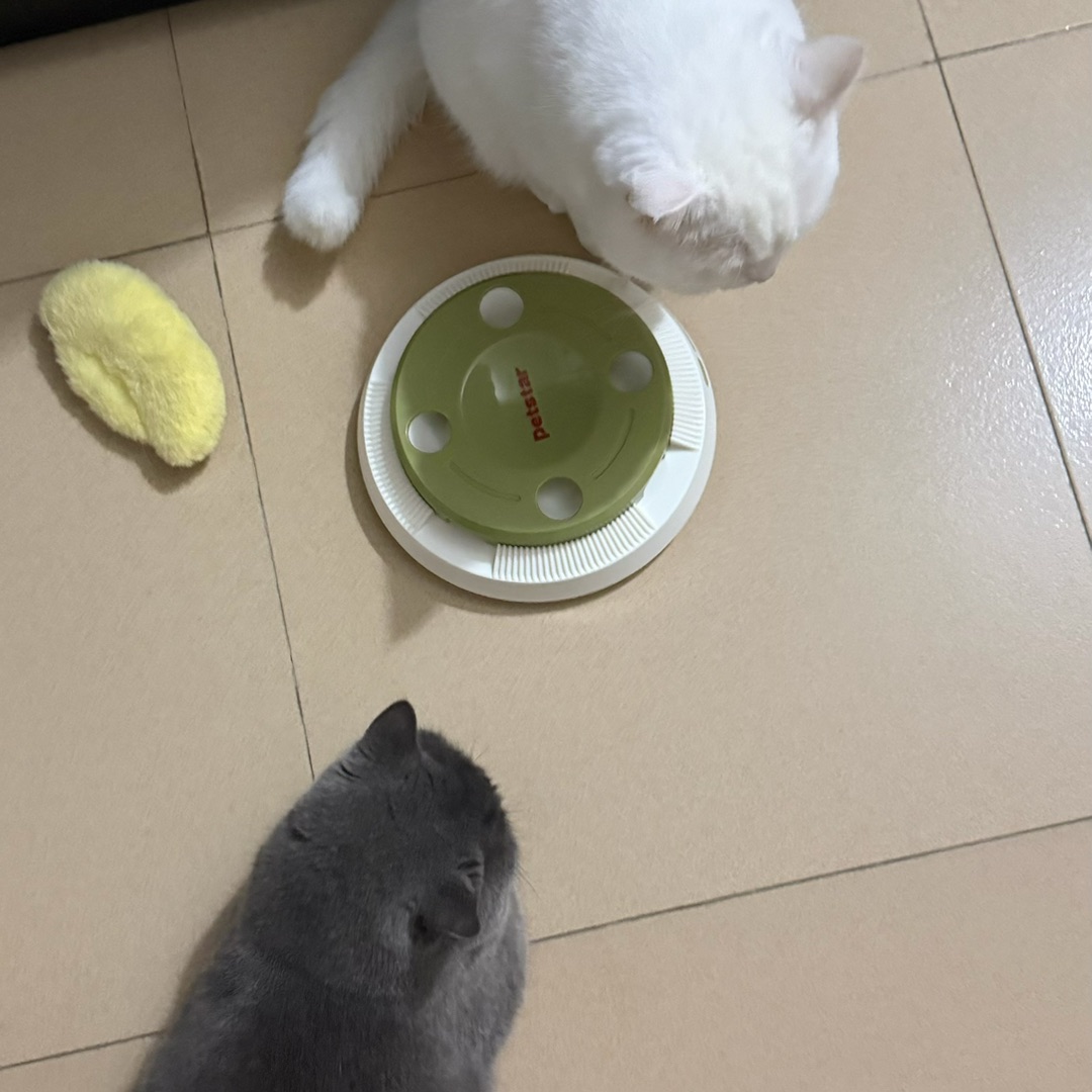 西五街