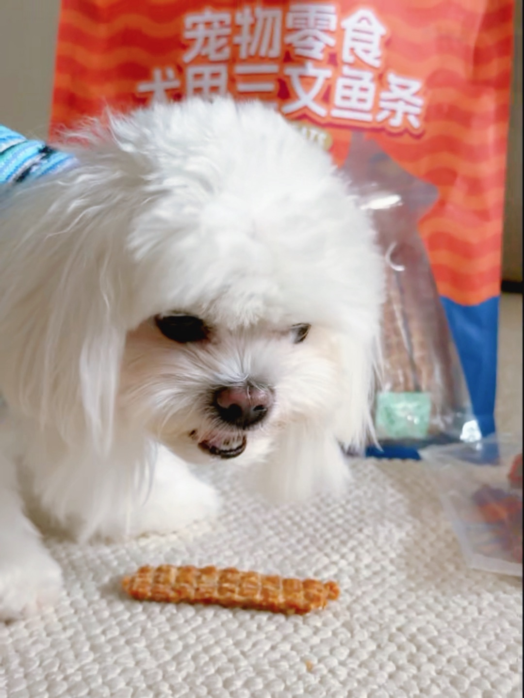 西五街