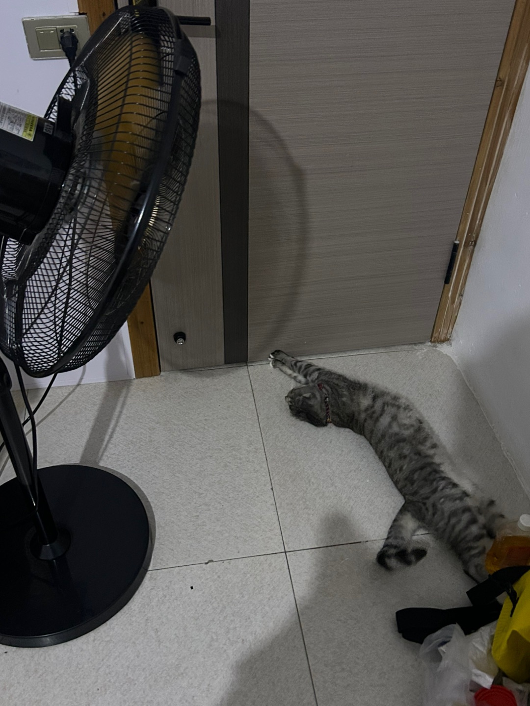 5.28 少爷生活