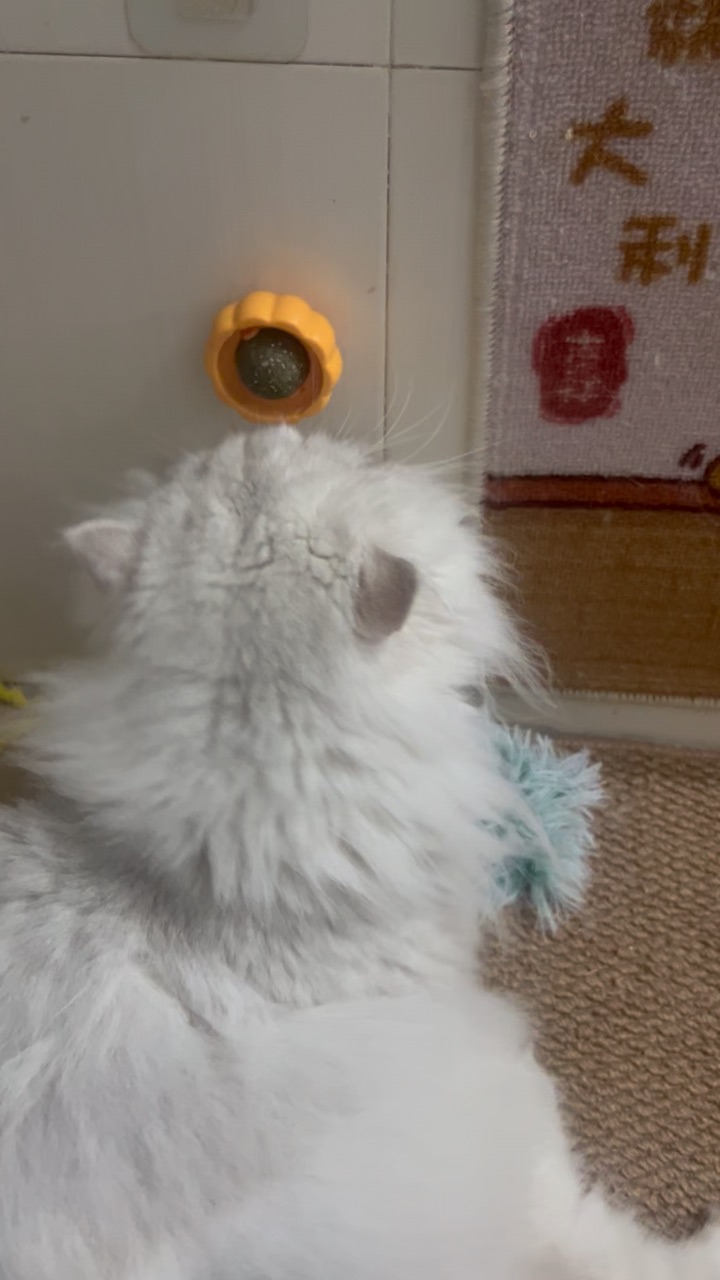 香薄荷