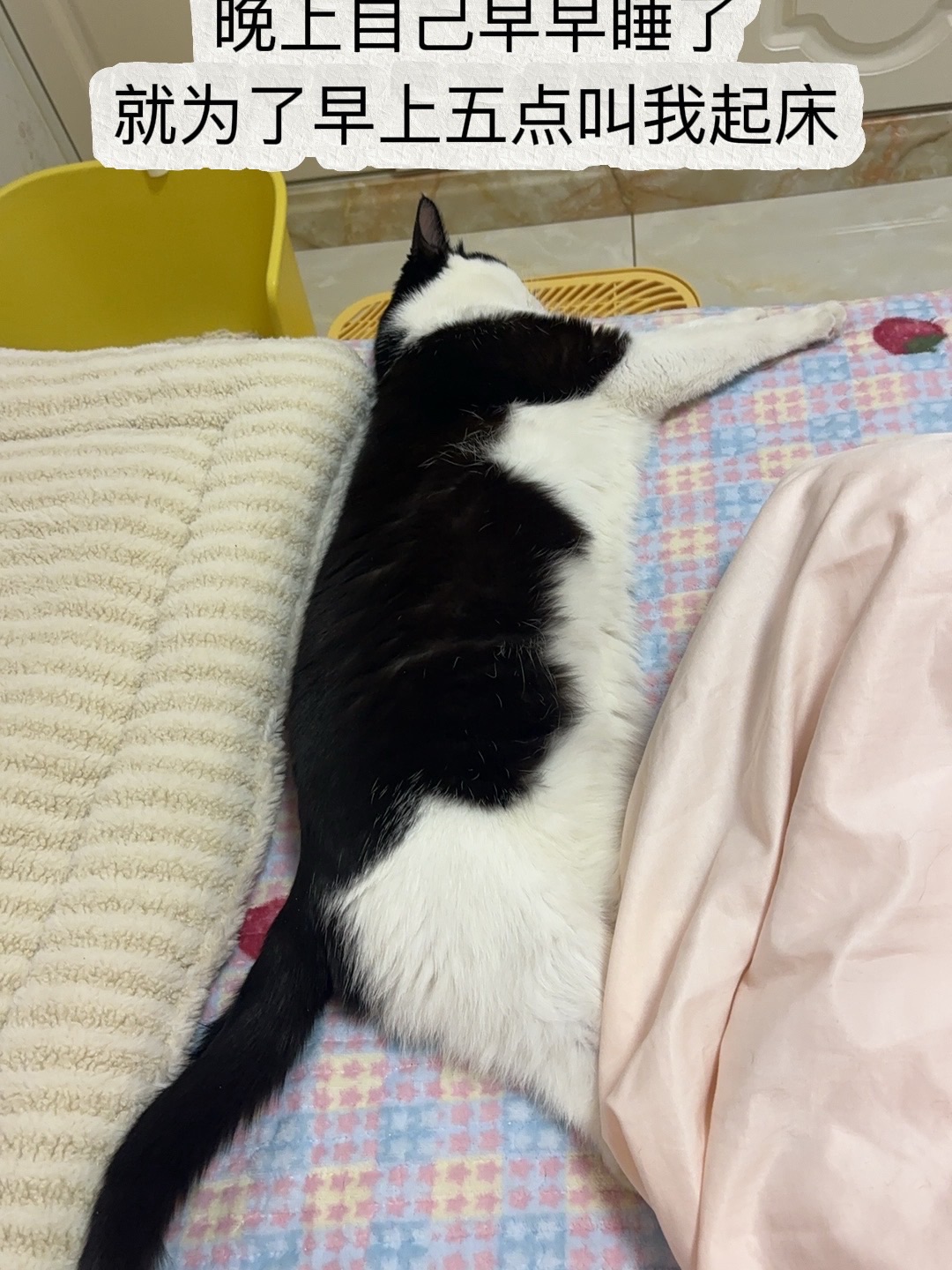 ~(＾◇^)/ヽ(^0^)ノ(^o^)／(^-^)/(^o^)／