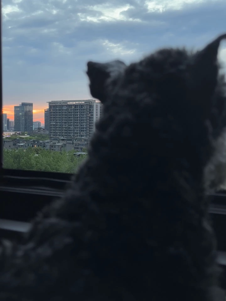只要他喜欢就是值得