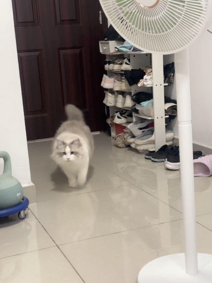 像我飞奔而来