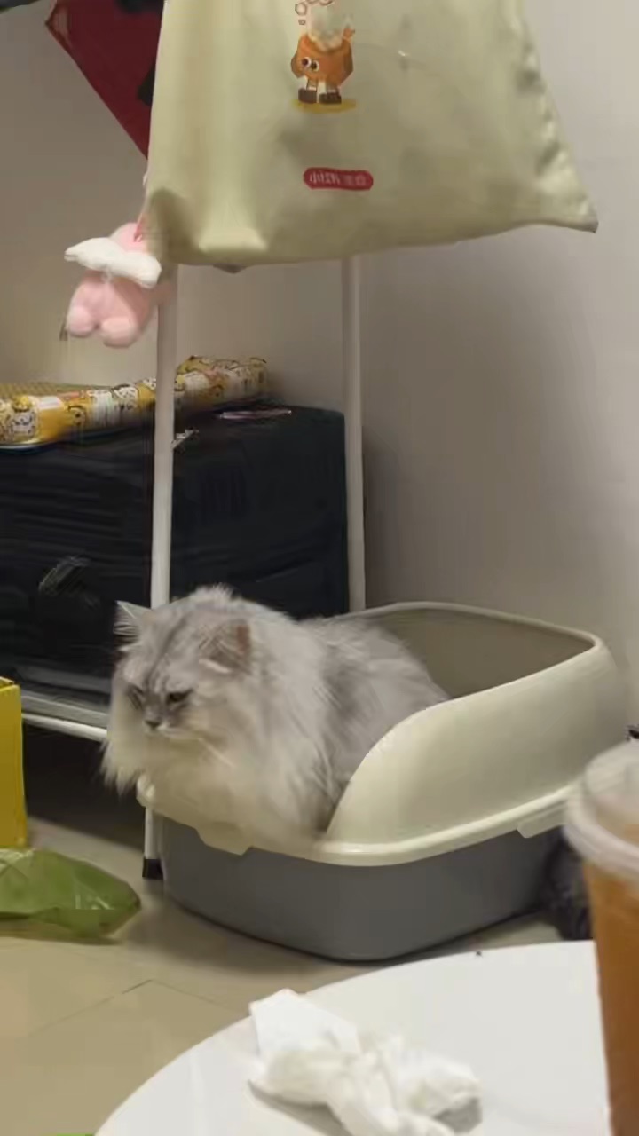 蓄力中