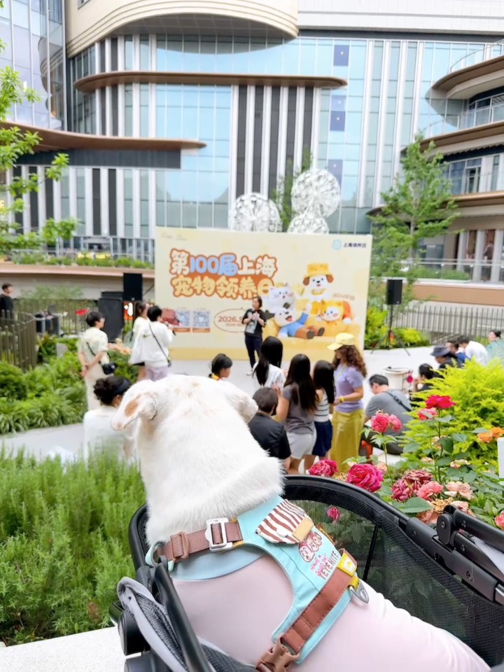 妈妈它们也会像福福一样幸运吗？