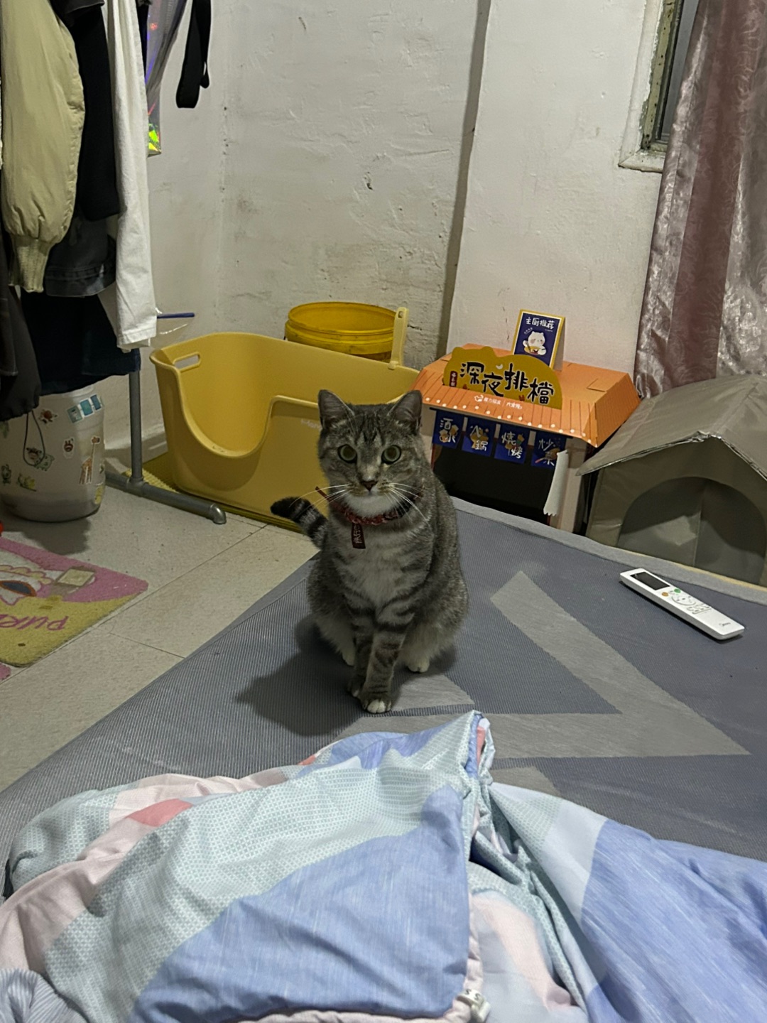 6.1 在干嘛