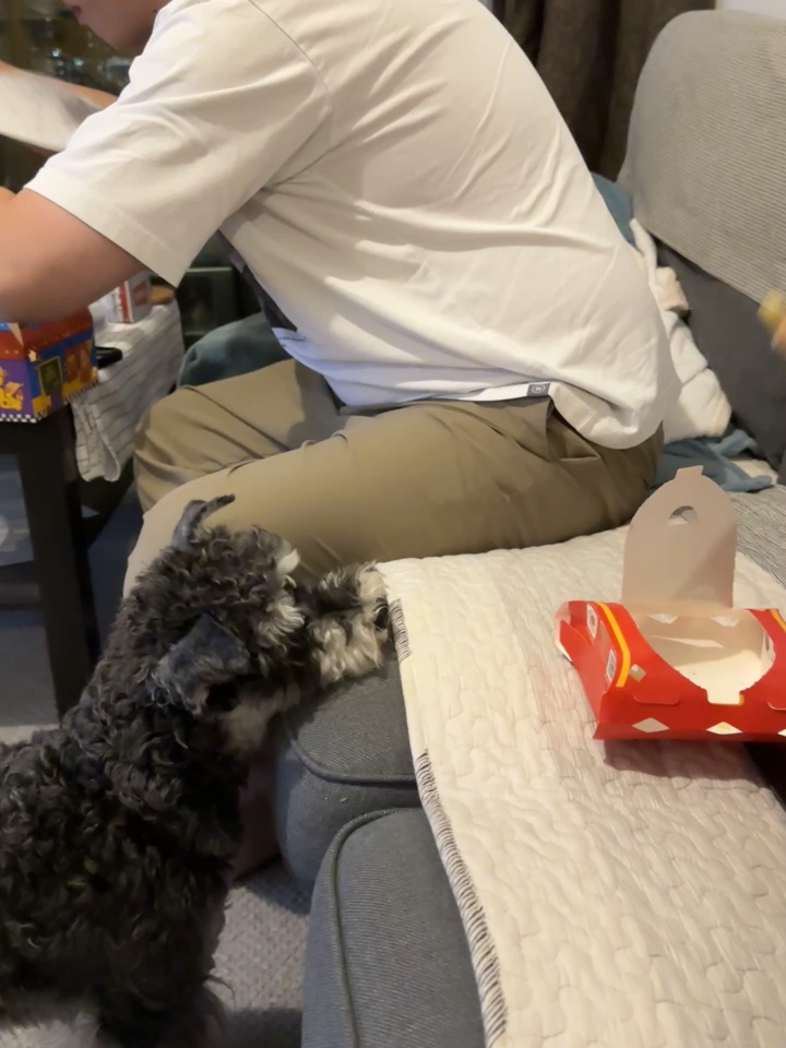 一时之间不知道该干嘛