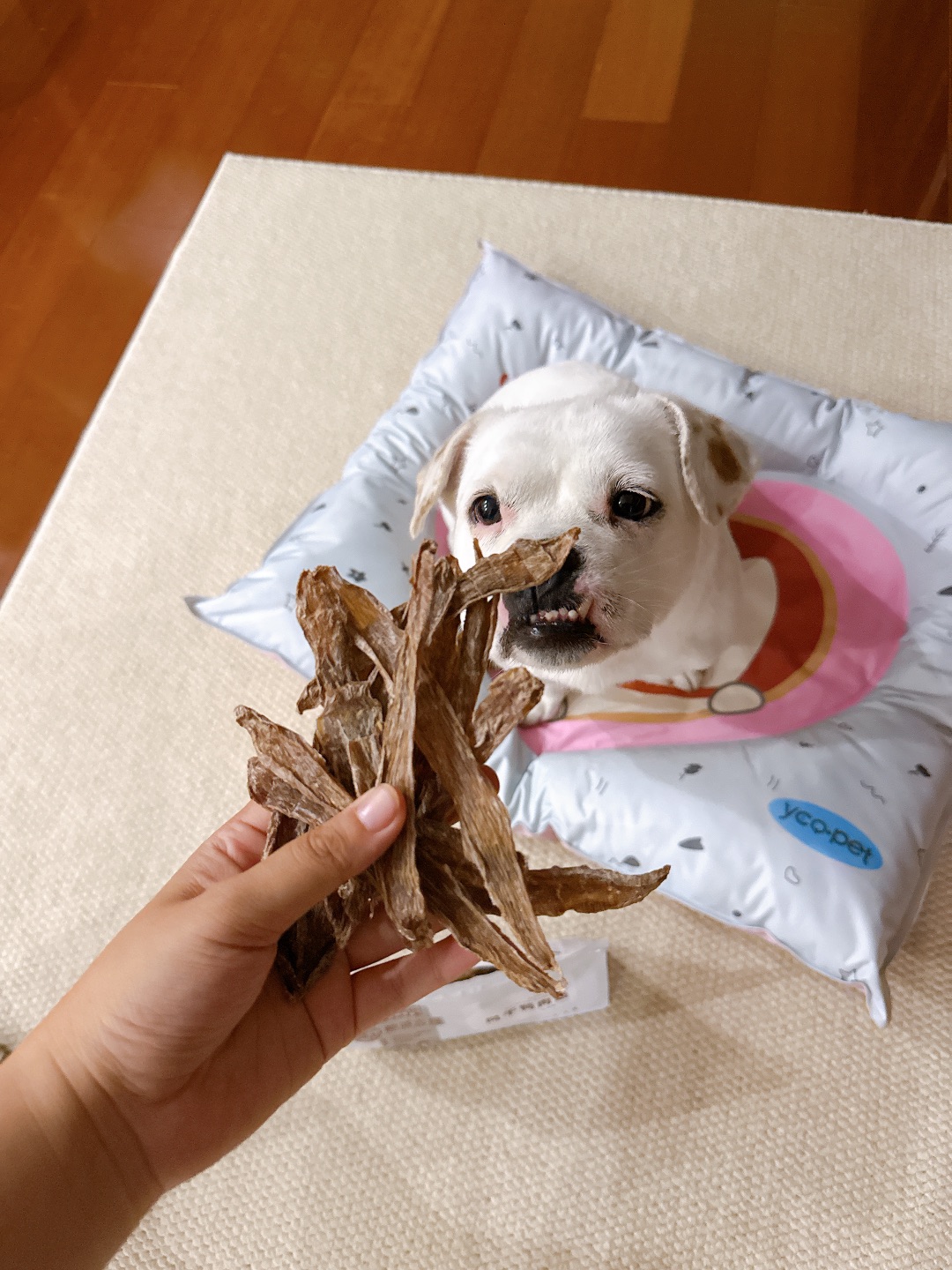 妈妈你发财了吗？