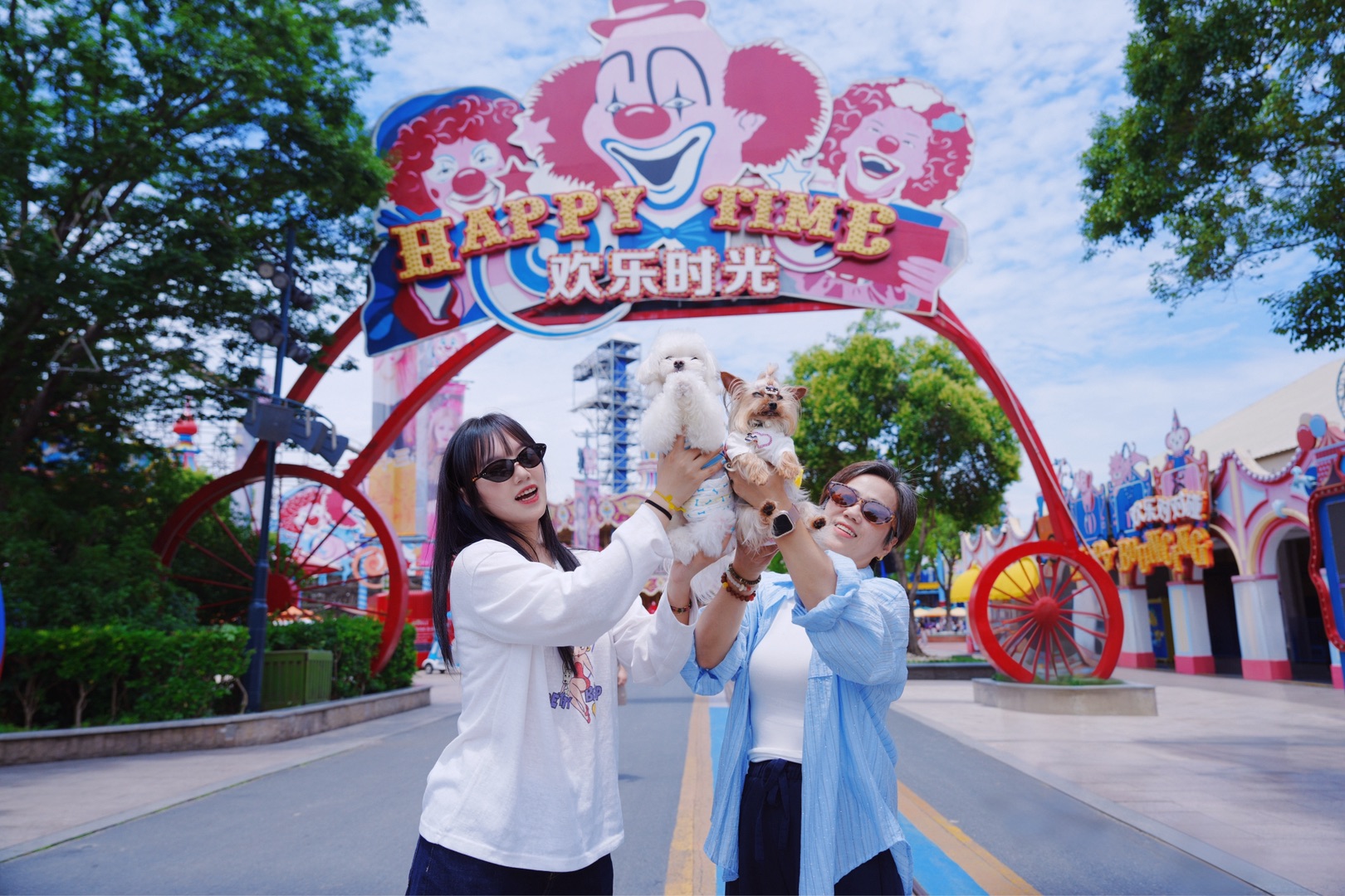 就在欢乐谷！抱抱误入各类小马阵营🦙🐎🎠