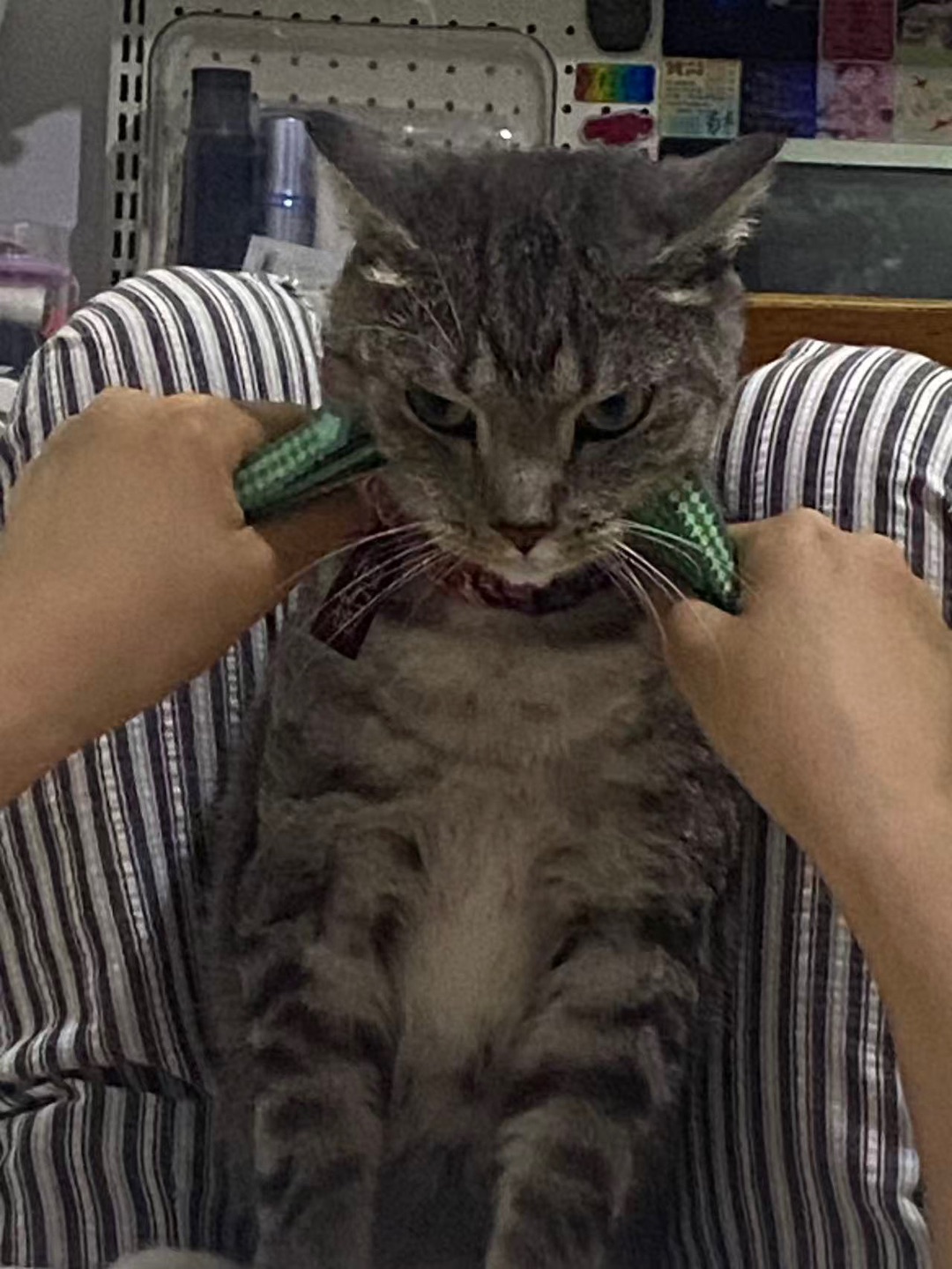 6.3击毙你