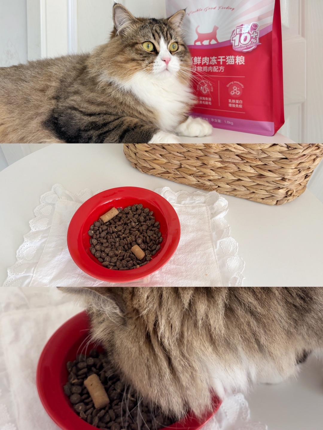 (^_^)ノヽ(^0^)ノヽ(^0^)ノ(^o^)／(^o^)／
