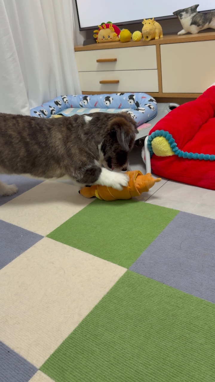 一些暴躁时刻