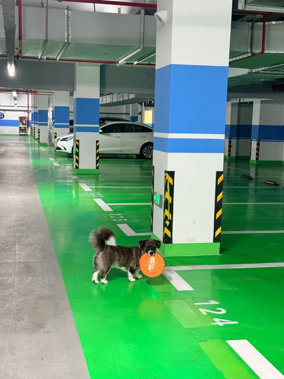西五街