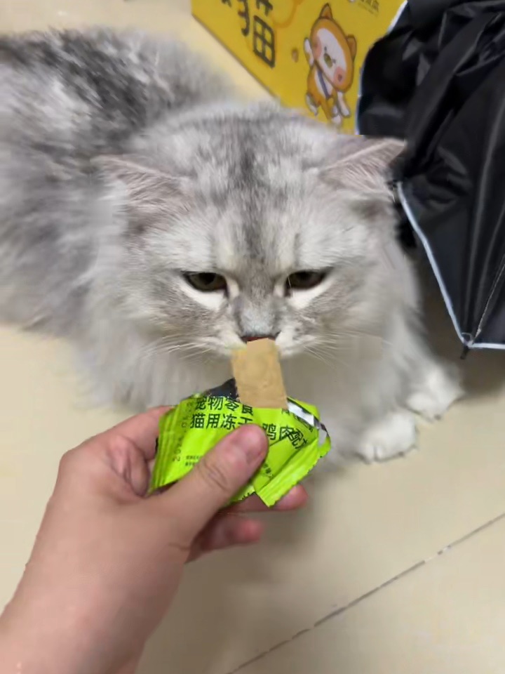 哇