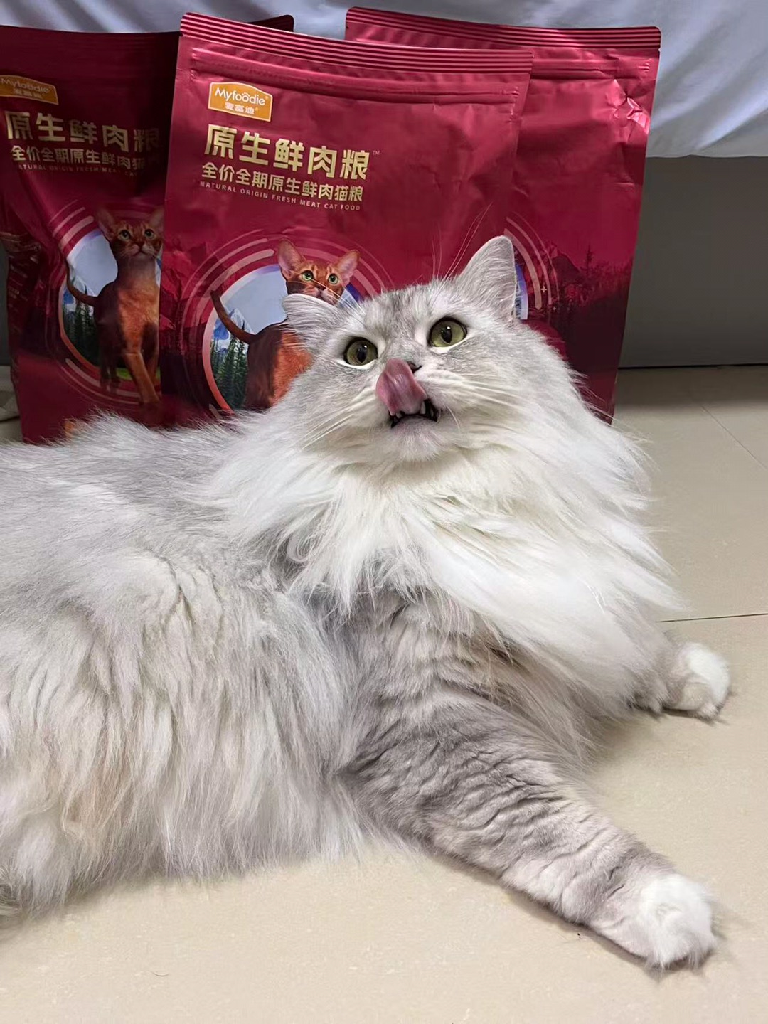 打工喵上线