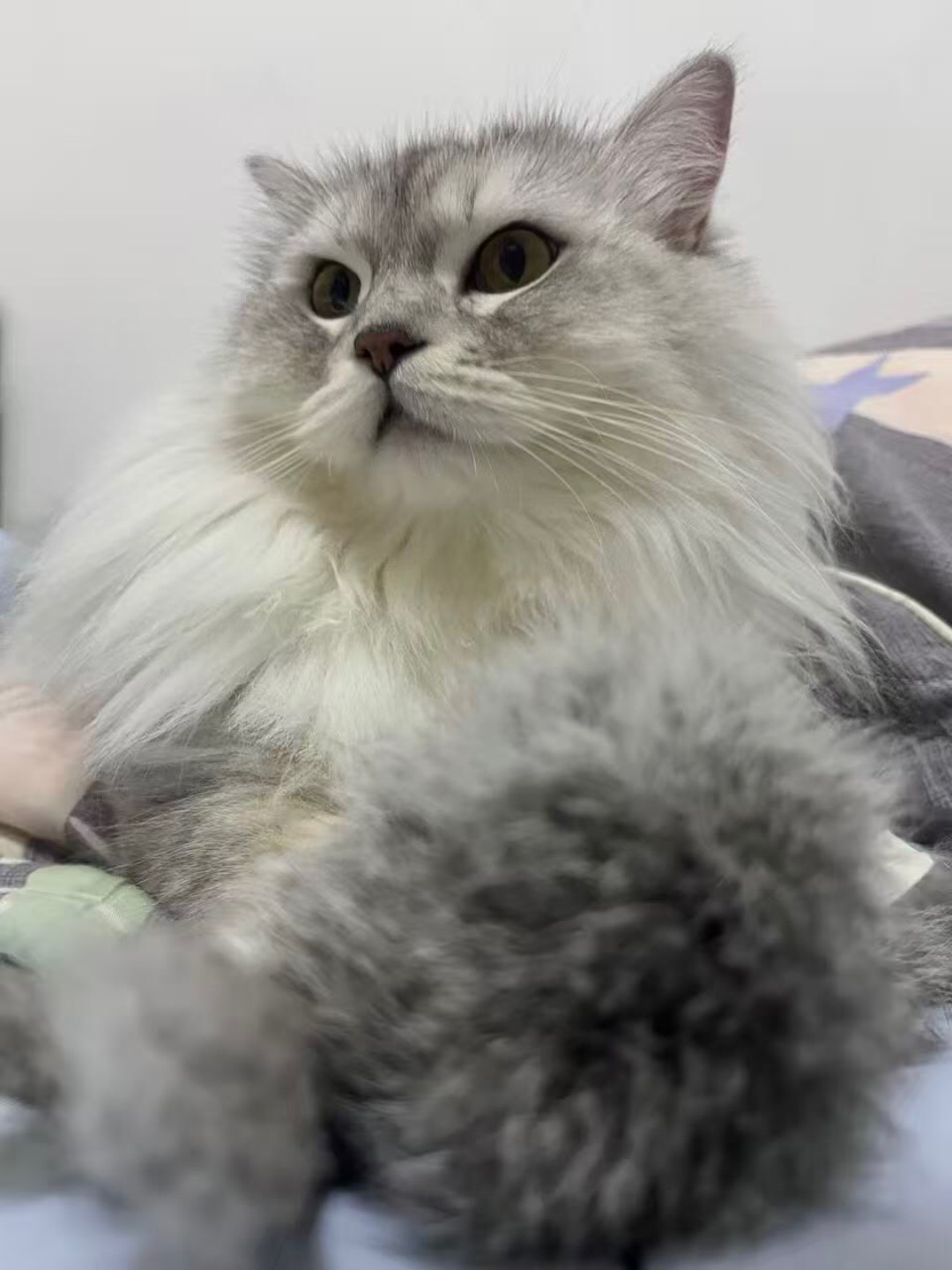小乖宝