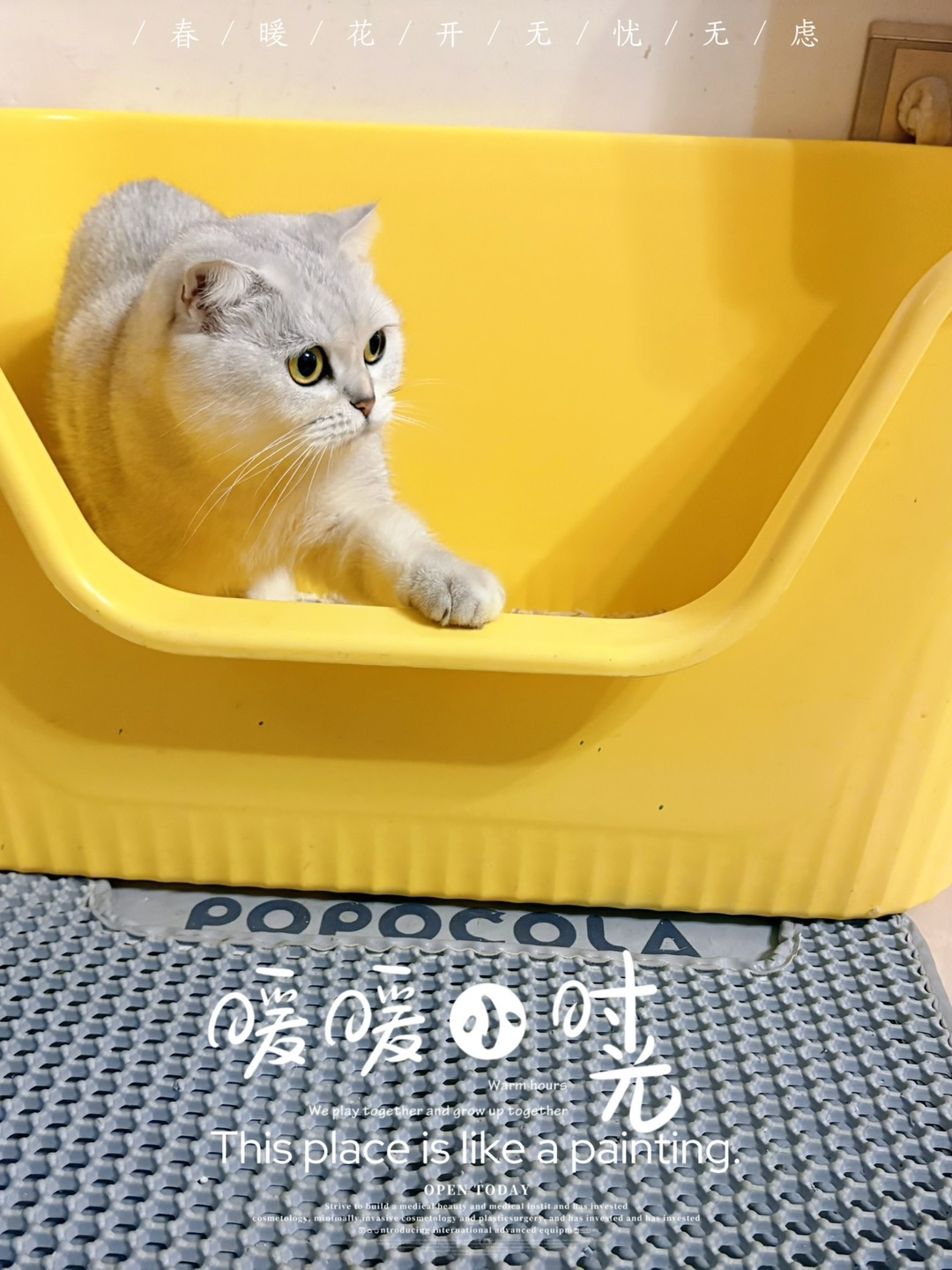 偷偷摸摸拍个照