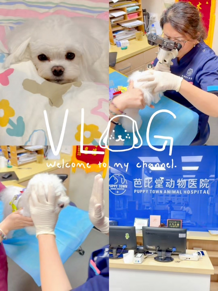 救命！狗狗眼屎多，不检查不知道！竟然是...