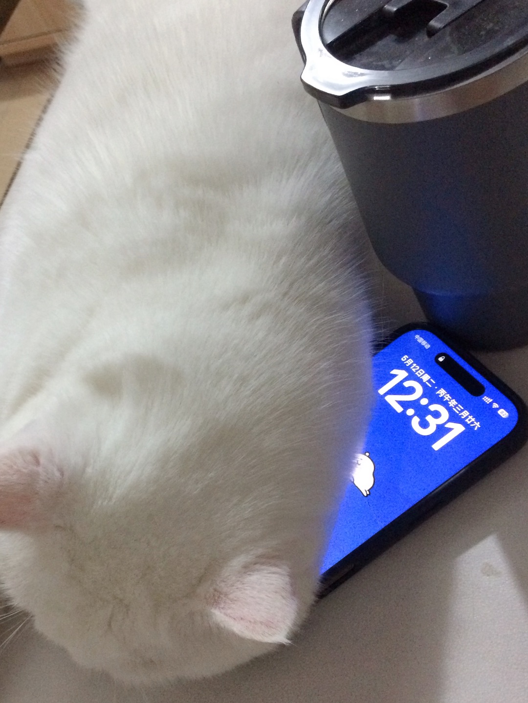 🤳🏻手机被元宝“没收”了